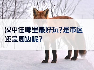 汉中住哪里最好玩？是市区还是周边呢？
