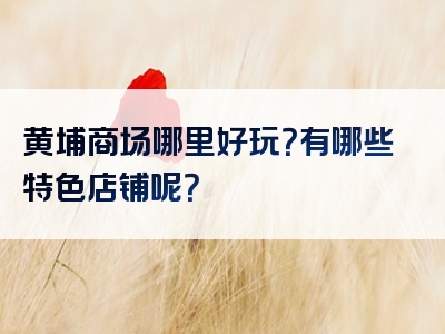 黄埔商场哪里好玩？有哪些特色店铺呢？