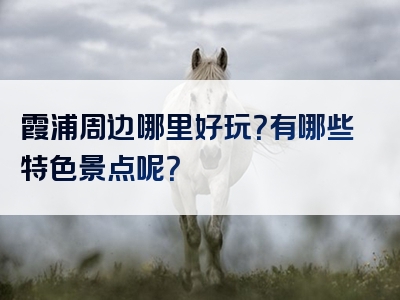 霞浦周边哪里好玩？有哪些特色景点呢？