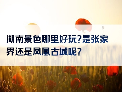 湖南景色哪里好玩？是张家界还是凤凰古城呢？