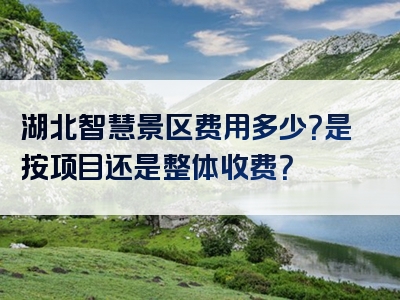 湖北智慧景区费用多少？是按项目还是整体收费？