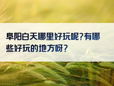 阜阳白天哪里好玩呢？有哪些好玩的地方呀？