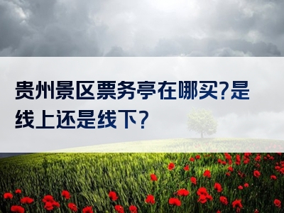贵州景区票务亭在哪买？是线上还是线下？