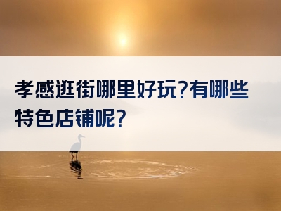 孝感逛街哪里好玩？有哪些特色店铺呢？