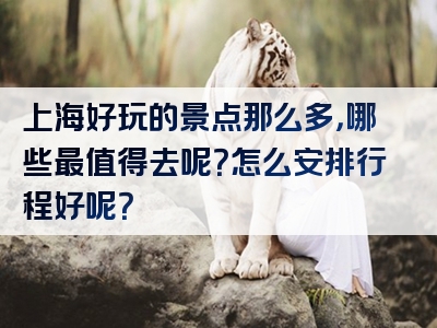 上海好玩的景点那么多，哪些最值得去呢？怎么安排行程好呢？