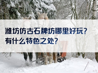 潍坊仿古石牌坊哪里好玩？有什么特色之处？