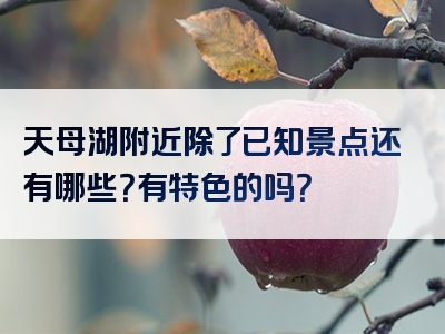 天母湖附近除了已知景点还有哪些？有特色的吗？