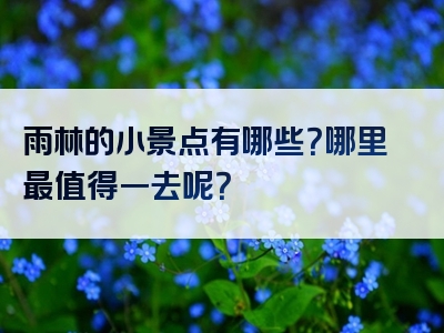 雨林的小景点有哪些？哪里最值得一去呢？
