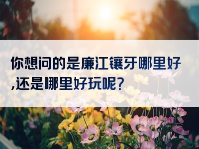 你想问的是廉江镶牙哪里好，还是哪里好玩呢？