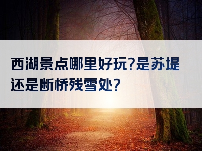 西湖景点哪里好玩？是苏堤还是断桥残雪处？