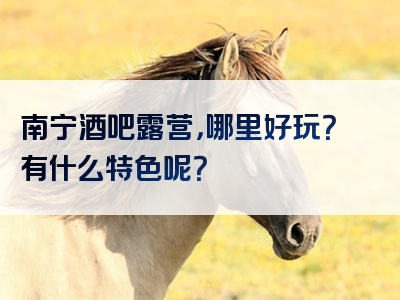 南宁酒吧露营，哪里好玩？有什么特色呢？