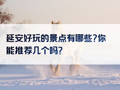 延安好玩的景点有哪些？你能推荐几个吗？