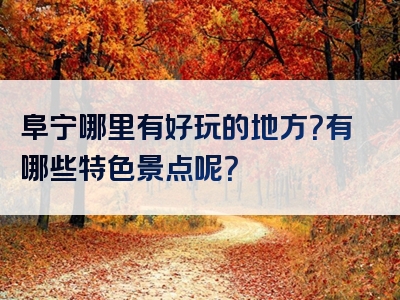 阜宁哪里有好玩的地方？有哪些特色景点呢？