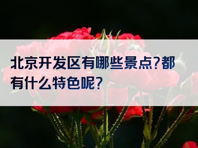 北京开发区有哪些景点？都有什么特色呢？