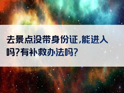 去景点没带身份证，能进入吗？有补救办法吗？