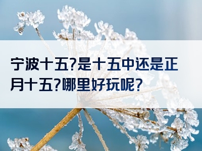 宁波十五？是十五中还是正月十五？哪里好玩呢？