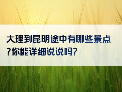 大理到昆明途中有哪些景点？你能详细说说吗？