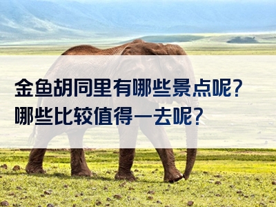 金鱼胡同里有哪些景点呢？哪些比较值得一去呢？