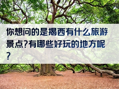 你想问的是揭西有什么旅游景点？有哪些好玩的地方呢？