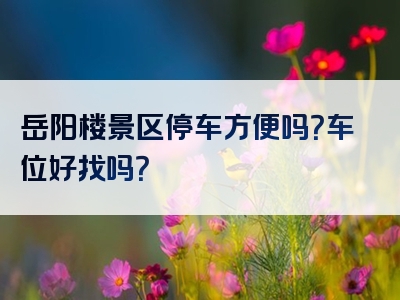 岳阳楼景区停车方便吗？车位好找吗？