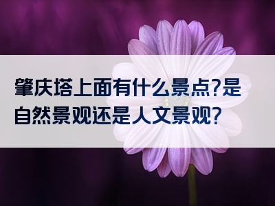 肇庆塔上面有什么景点？是自然景观还是人文景观？