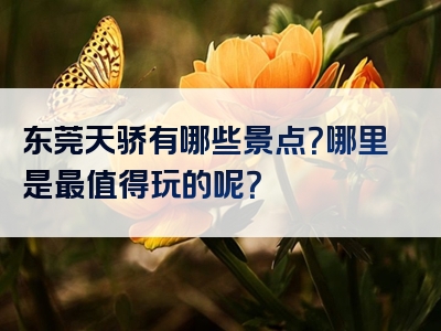 东莞天骄有哪些景点？哪里是最值得玩的呢？