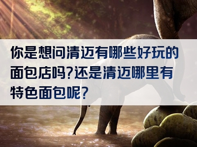 你是想问清迈有哪些好玩的面包店吗？还是清迈哪里有特色面包呢？