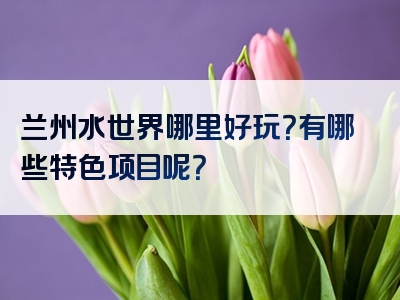 兰州水世界哪里好玩？有哪些特色项目呢？