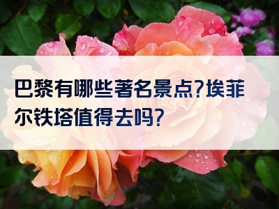 巴黎有哪些著名景点？埃菲尔铁塔值得去吗？