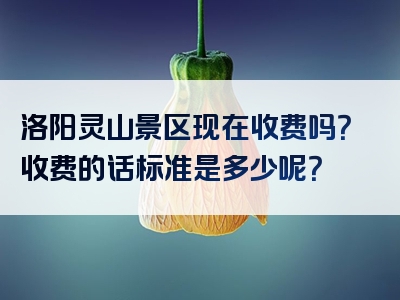 洛阳灵山景区现在收费吗？收费的话标准是多少呢？