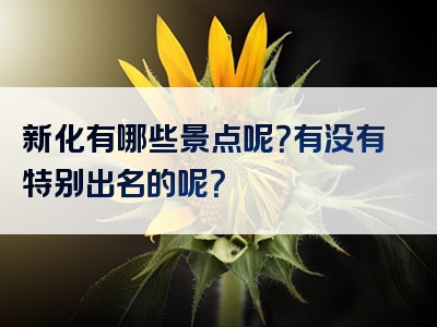 新化有哪些景点呢？有没有特别出名的呢？