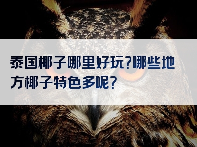 泰国椰子哪里好玩？哪些地方椰子特色多呢？