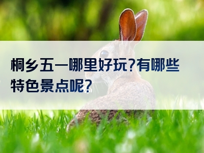 桐乡五一哪里好玩？有哪些特色景点呢？