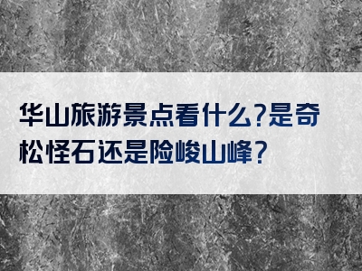 华山旅游景点看什么？是奇松怪石还是险峻山峰？