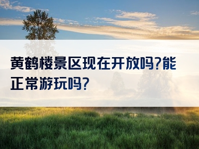 黄鹤楼景区现在开放吗？能正常游玩吗？