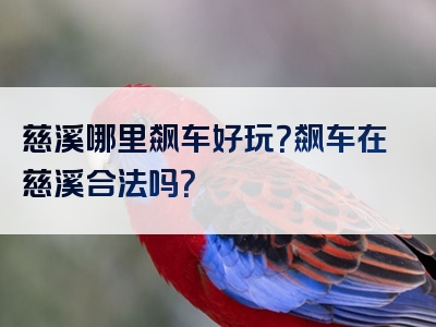 慈溪哪里飙车好玩？飙车在慈溪合法吗？