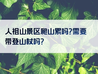 人祖山景区爬山累吗？需要带登山杖吗？