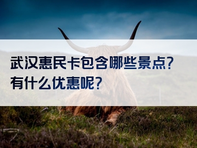 武汉惠民卡包含哪些景点？有什么优惠呢？
