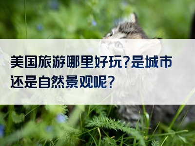 美国旅游哪里好玩？是城市还是自然景观呢？