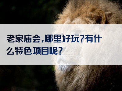 老家庙会，哪里好玩？有什么特色项目呢？