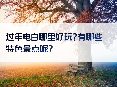 过年电白哪里好玩？有哪些特色景点呢？