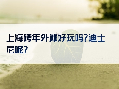 上海跨年外滩好玩吗？迪士尼呢？