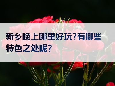 新乡晚上哪里好玩？有哪些特色之处呢？