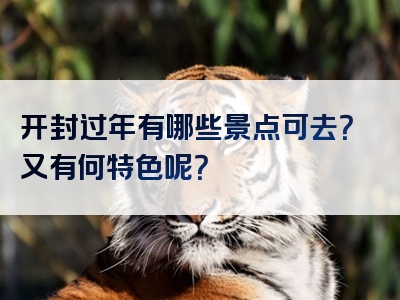开封过年有哪些景点可去？又有何特色呢？