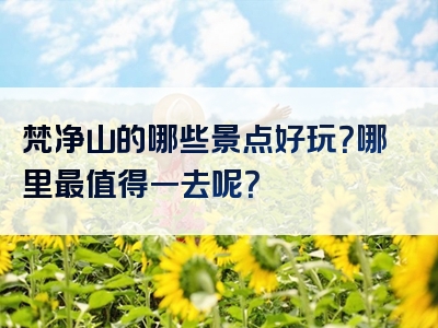 梵净山的哪些景点好玩？哪里最值得一去呢？