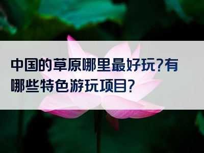 中国的草原哪里最好玩？有哪些特色游玩项目？
