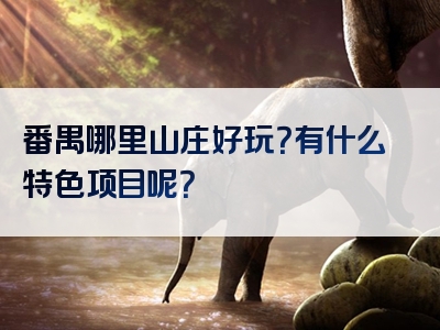 番禺哪里山庄好玩？有什么特色项目呢？