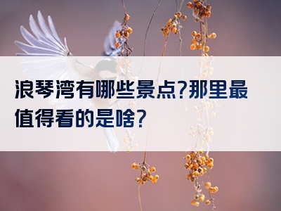 浪琴湾有哪些景点？那里最值得看的是啥？