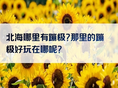 北海哪里有蹦极？那里的蹦极好玩在哪呢？