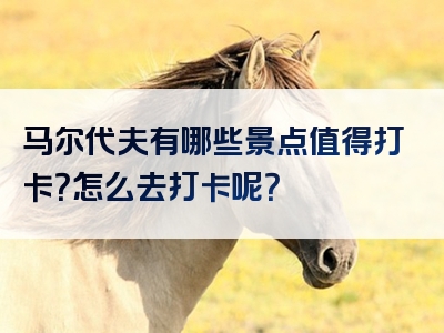 马尔代夫有哪些景点值得打卡？怎么去打卡呢？